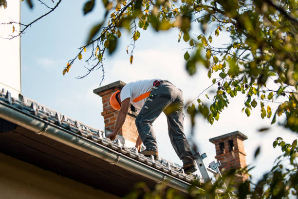 Best Gutter Installation and Roofing  in Flanders, NJ